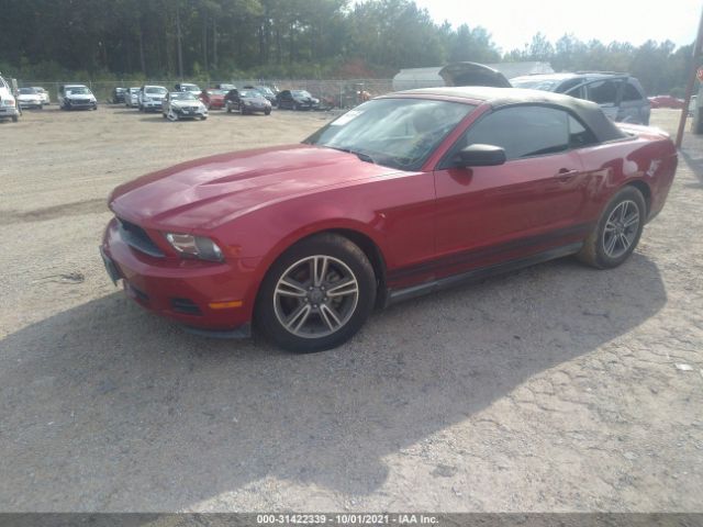 Photo 1 VIN: 1ZVBP8EN6A5110625 - FORD MUSTANG 