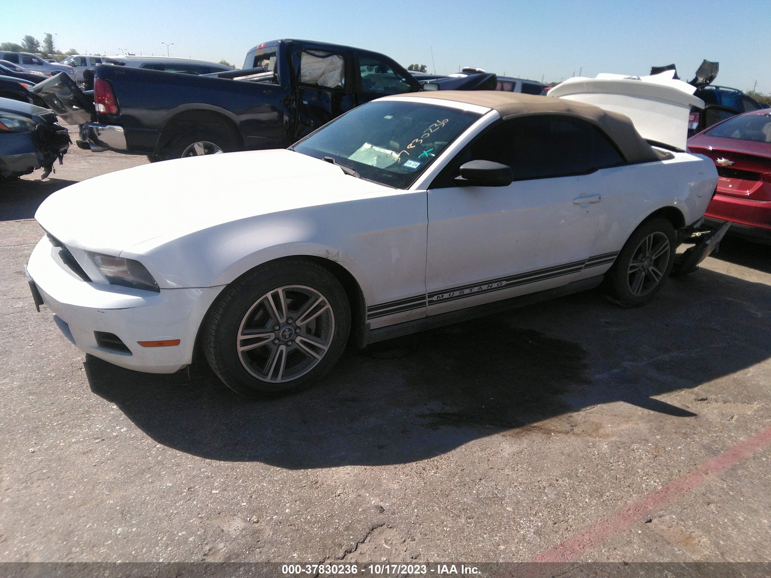 Photo 1 VIN: 1ZVBP8EN7A5175449 - FORD MUSTANG 