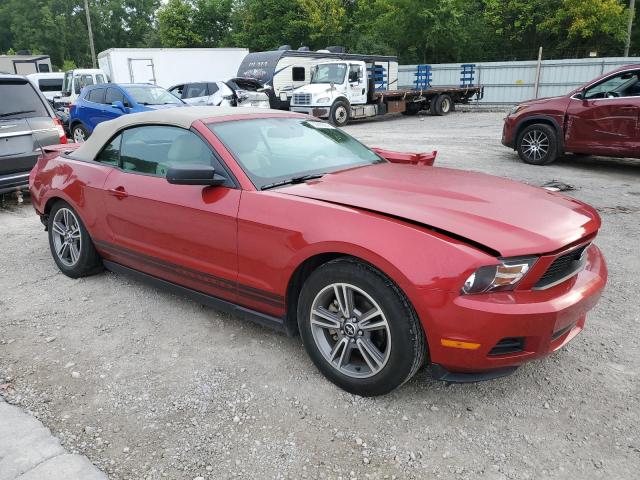 Photo 3 VIN: 1ZVBP8EN8A5137132 - FORD MUSTANG 