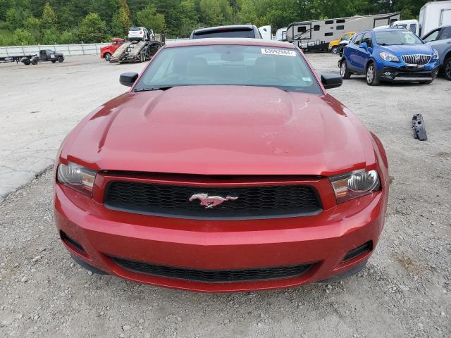 Photo 4 VIN: 1ZVBP8EN8A5137132 - FORD MUSTANG 