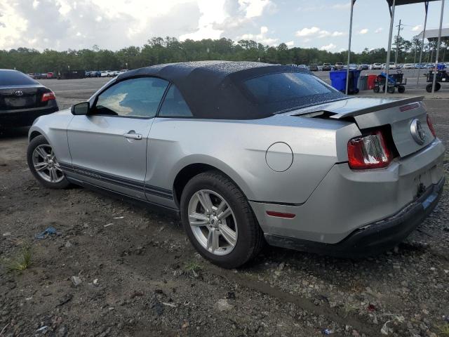 Photo 1 VIN: 1ZVBP8EN8A5150009 - FORD MUSTANG 