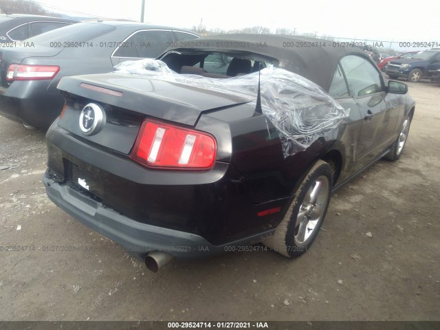 Photo 3 VIN: 1ZVBP8EN8A5179574 - FORD MUSTANG 