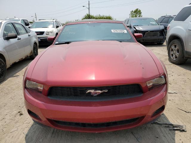 Photo 4 VIN: 1ZVBP8EN9A5105984 - FORD MUSTANG 