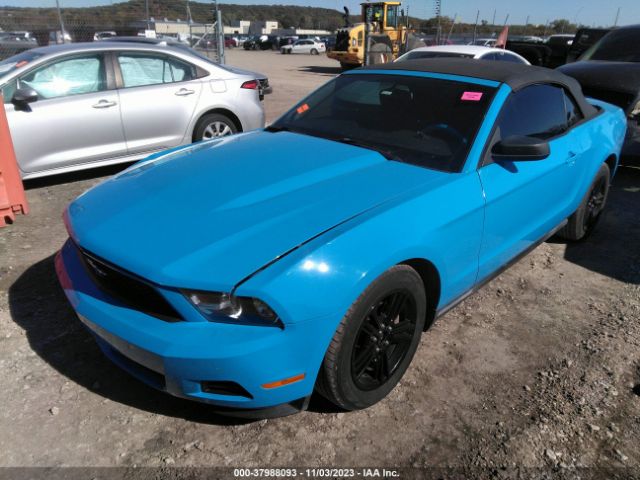 Photo 1 VIN: 1ZVBP8EN9A5137365 - FORD MUSTANG 