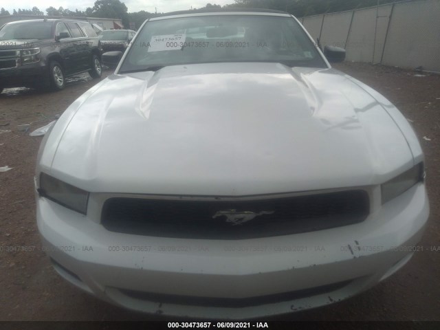 Photo 5 VIN: 1ZVBP8EN9A5170558 - FORD MUSTANG 