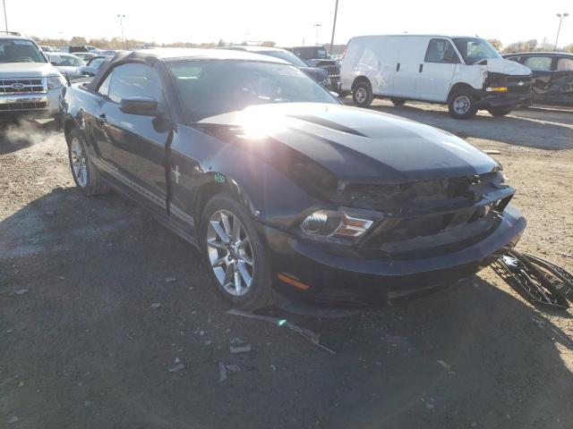 Photo 0 VIN: 1ZVBP8EN9A5175064 - FORD MUSTANG 