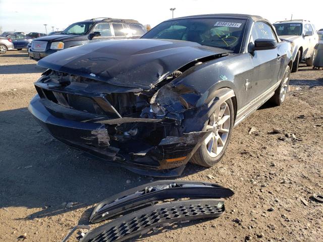 Photo 1 VIN: 1ZVBP8EN9A5175064 - FORD MUSTANG 