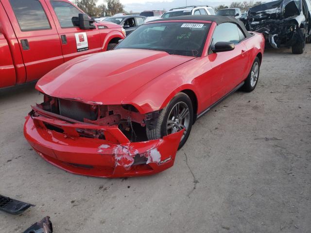 Photo 1 VIN: 1ZVBP8EN9A5178014 - FORD MUSTANG 