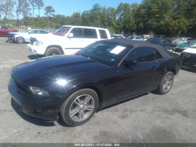 Photo 1 VIN: 1ZVBP8ENXA5155678 - FORD MUSTANG 