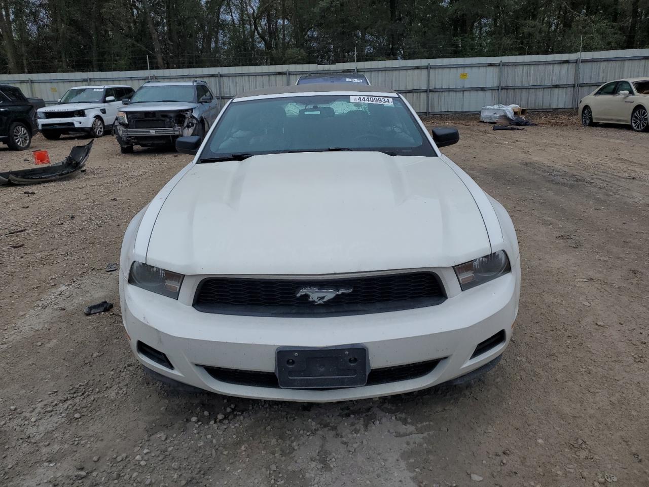 Photo 4 VIN: 1ZVBP8ENXA5163991 - FORD MUSTANG 