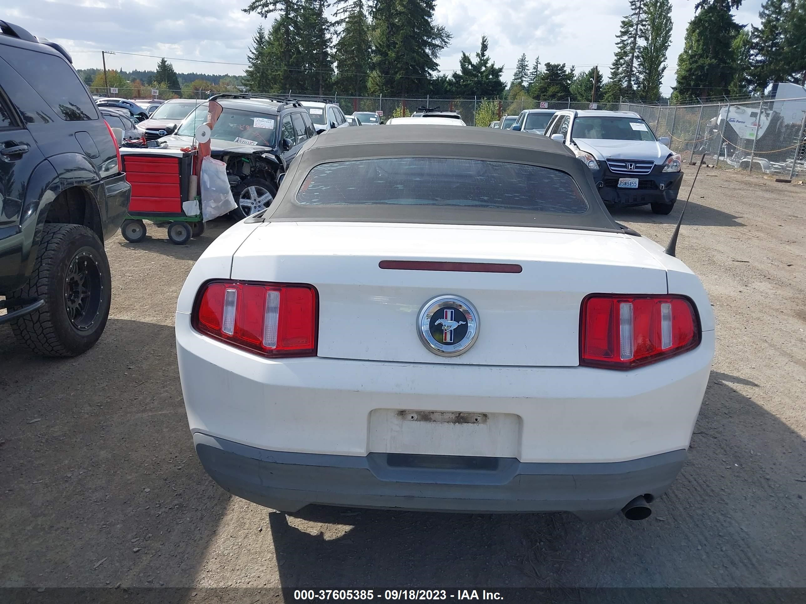 Photo 15 VIN: 1ZVBP8ENXA5179625 - FORD MUSTANG 