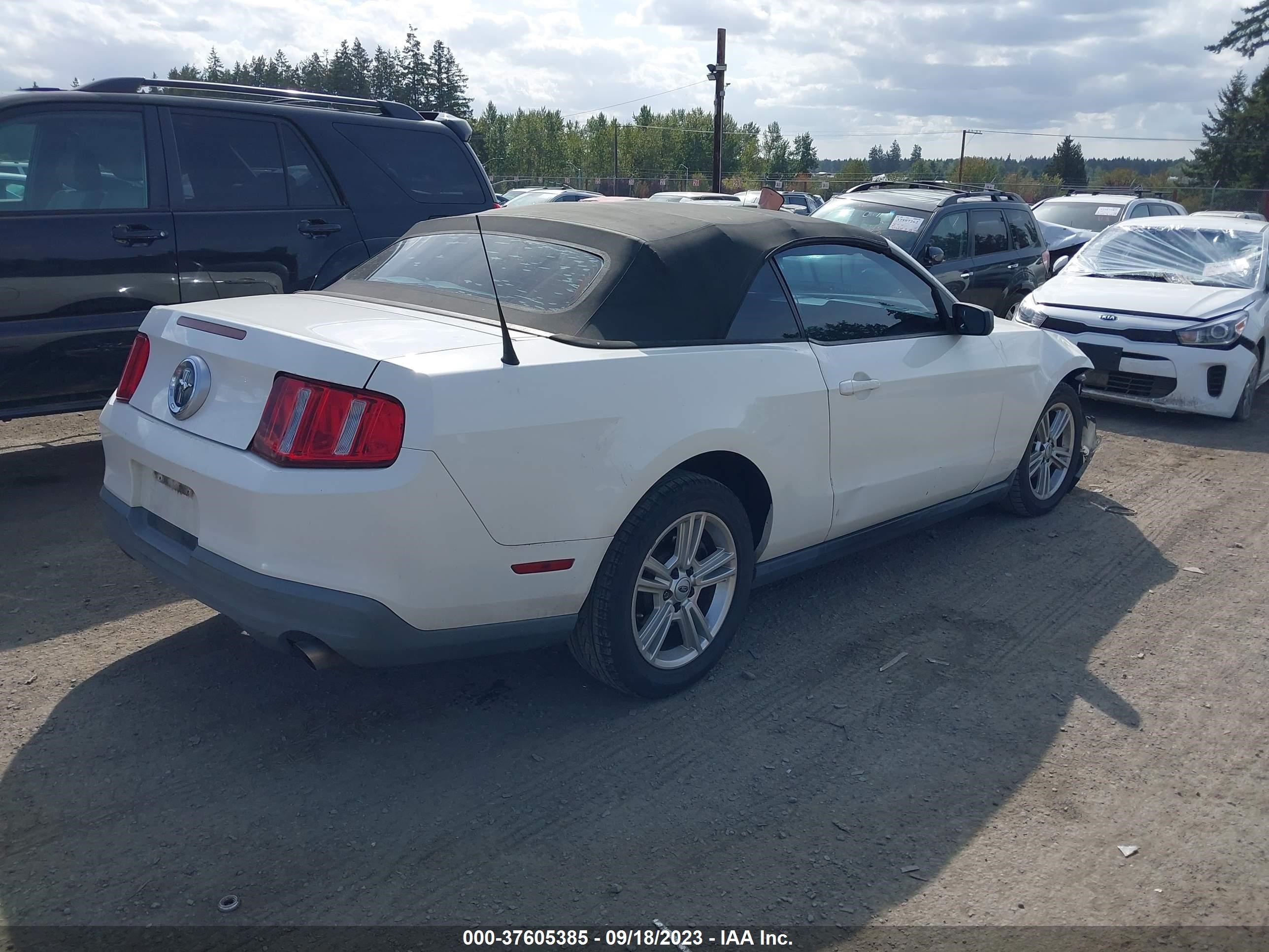 Photo 3 VIN: 1ZVBP8ENXA5179625 - FORD MUSTANG 