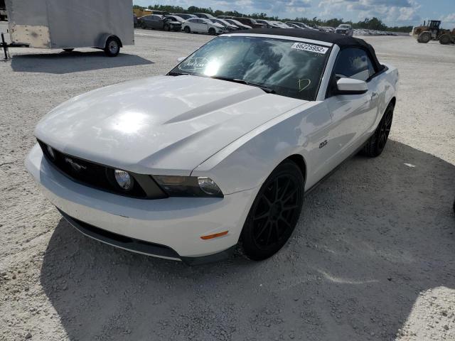 Photo 1 VIN: 1ZVBP8FF0B5134296 - FORD MUSTANG GT 