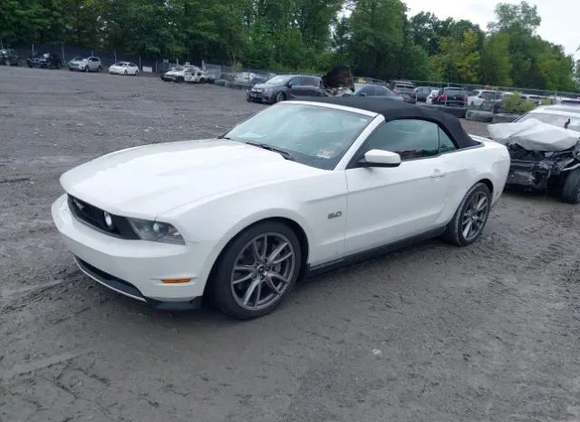 Photo 1 VIN: 1ZVBP8FF1C5218578 - FORD MUSTANG 