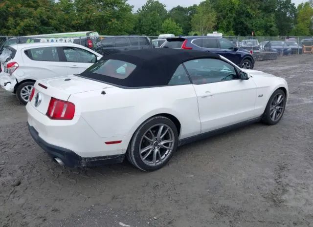 Photo 3 VIN: 1ZVBP8FF1C5218578 - FORD MUSTANG 