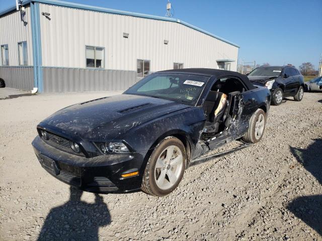 Photo 1 VIN: 1ZVBP8FF1D5258662 - FORD MUSTANG GT 