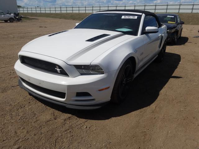 Photo 1 VIN: 1ZVBP8FF6D5224071 - FORD MUSTANG GT 