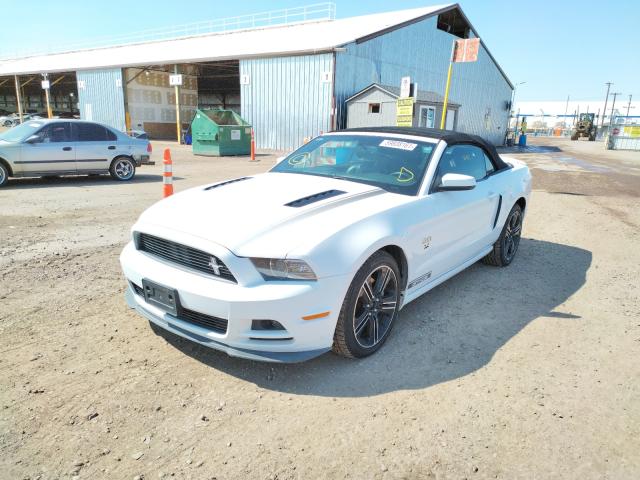 Photo 1 VIN: 1ZVBP8FF7E5251300 - FORD MUSTANG 