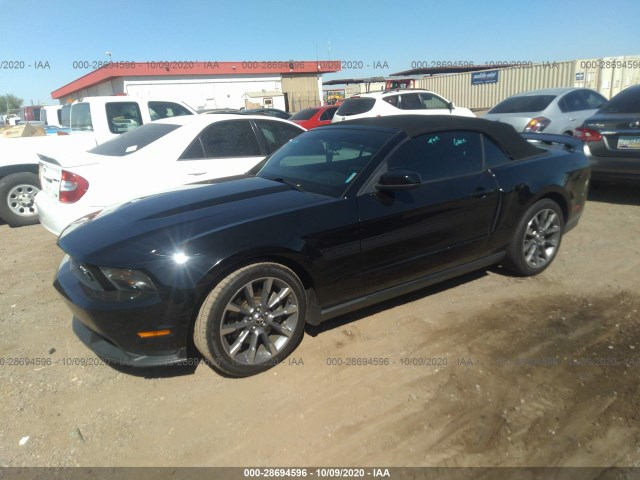 Photo 1 VIN: 1ZVBP8FF8B5104592 - FORD MUSTANG 