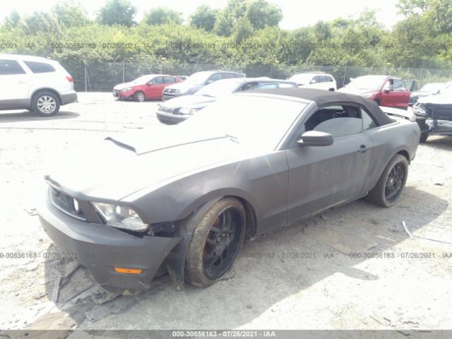 Photo 1 VIN: 1ZVBP8FH4A5127335 - FORD MUSTANG 