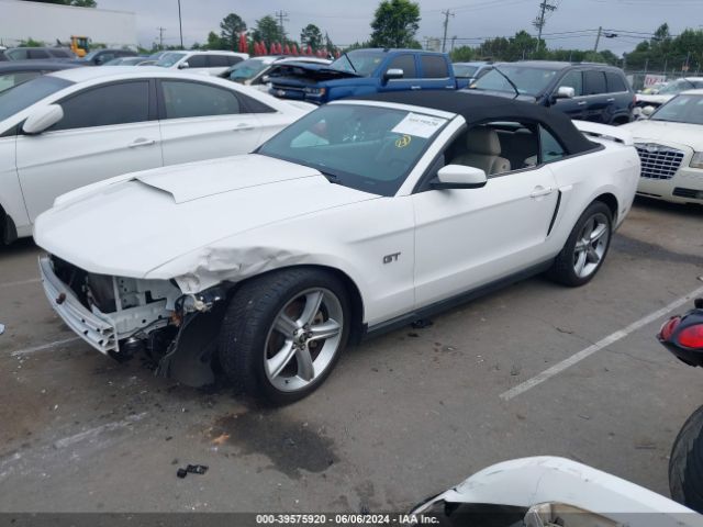 Photo 1 VIN: 1ZVBP8FH8A5139813 - FORD MUSTANG 