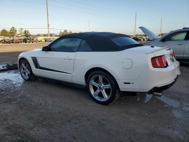 Photo 1 VIN: 1ZVBP8FH9A5135608 - FORD MUSTANG GT 