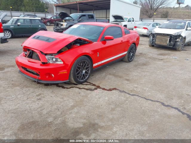 Photo 1 VIN: 1ZVBP8JS0B5114974 - FORD SHELBY GT500 