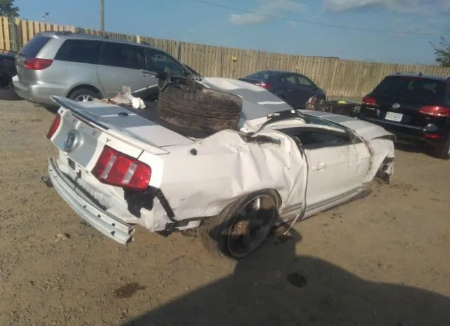 Photo 3 VIN: 1ZVBP8JS7A5149283 - FORD MUSTANG 