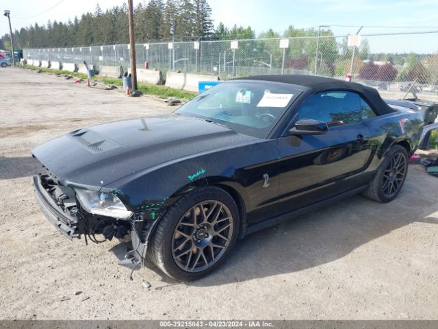 Photo 1 VIN: 1ZVBP8KS8C5232576 - FORD MUSTANG COBRA R 