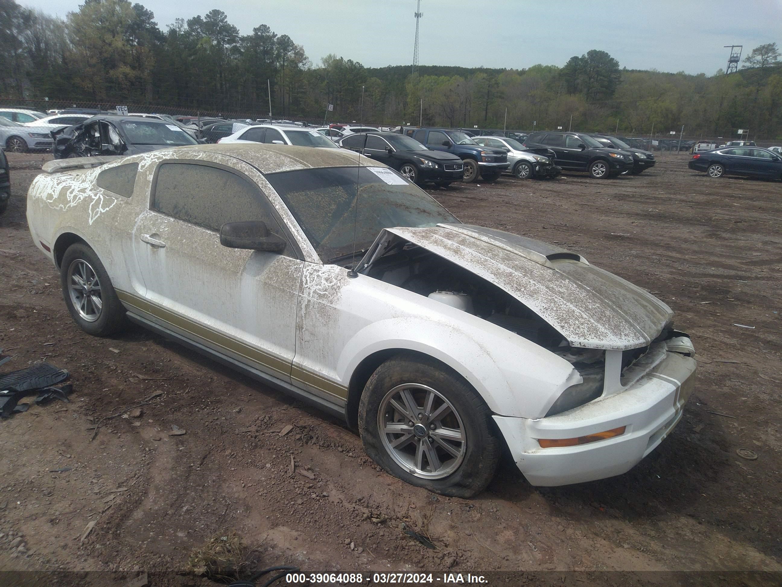 Photo 0 VIN: 1ZVFT80N055159782 - FORD MUSTANG 