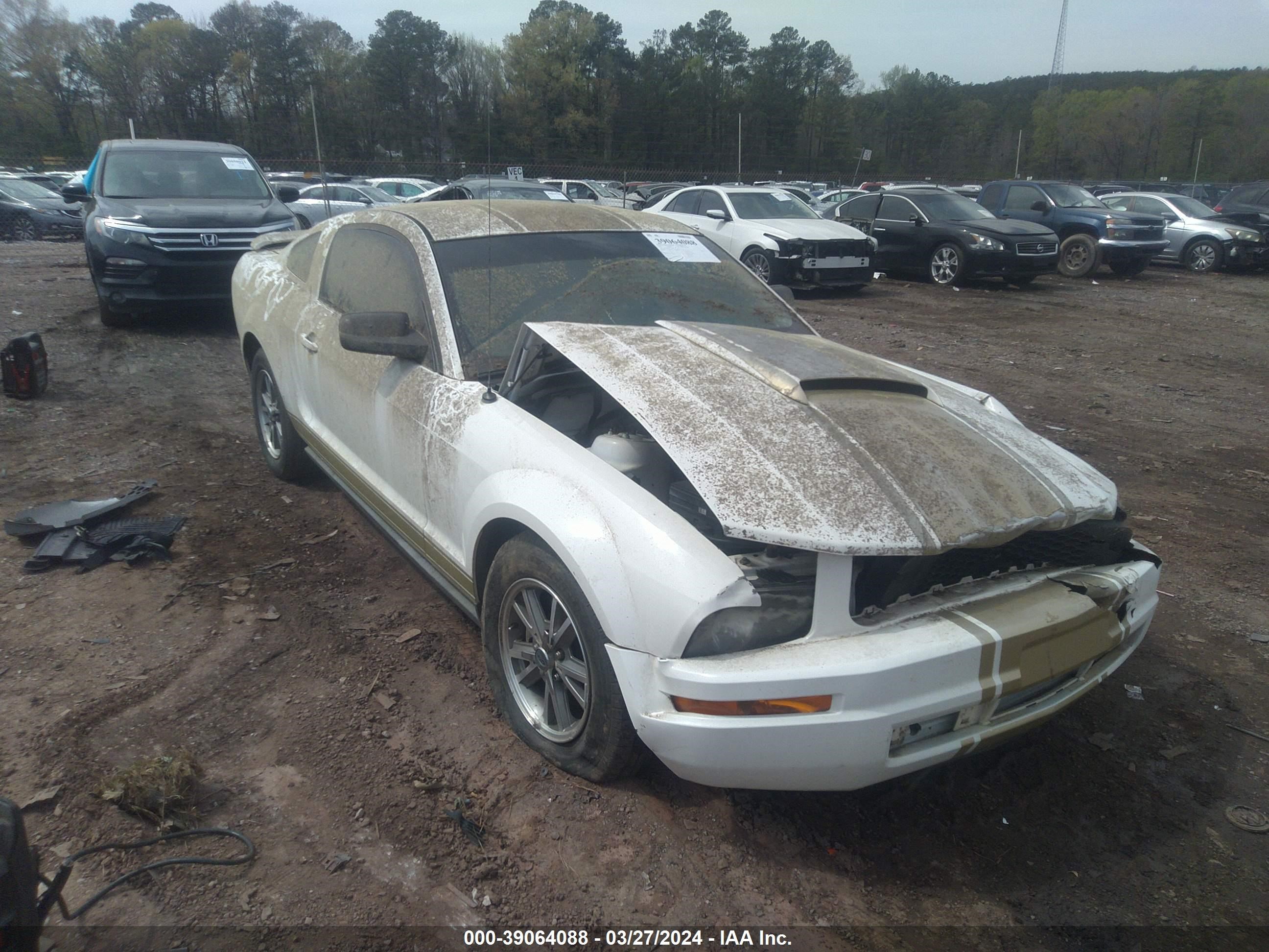 Photo 15 VIN: 1ZVFT80N055159782 - FORD MUSTANG 