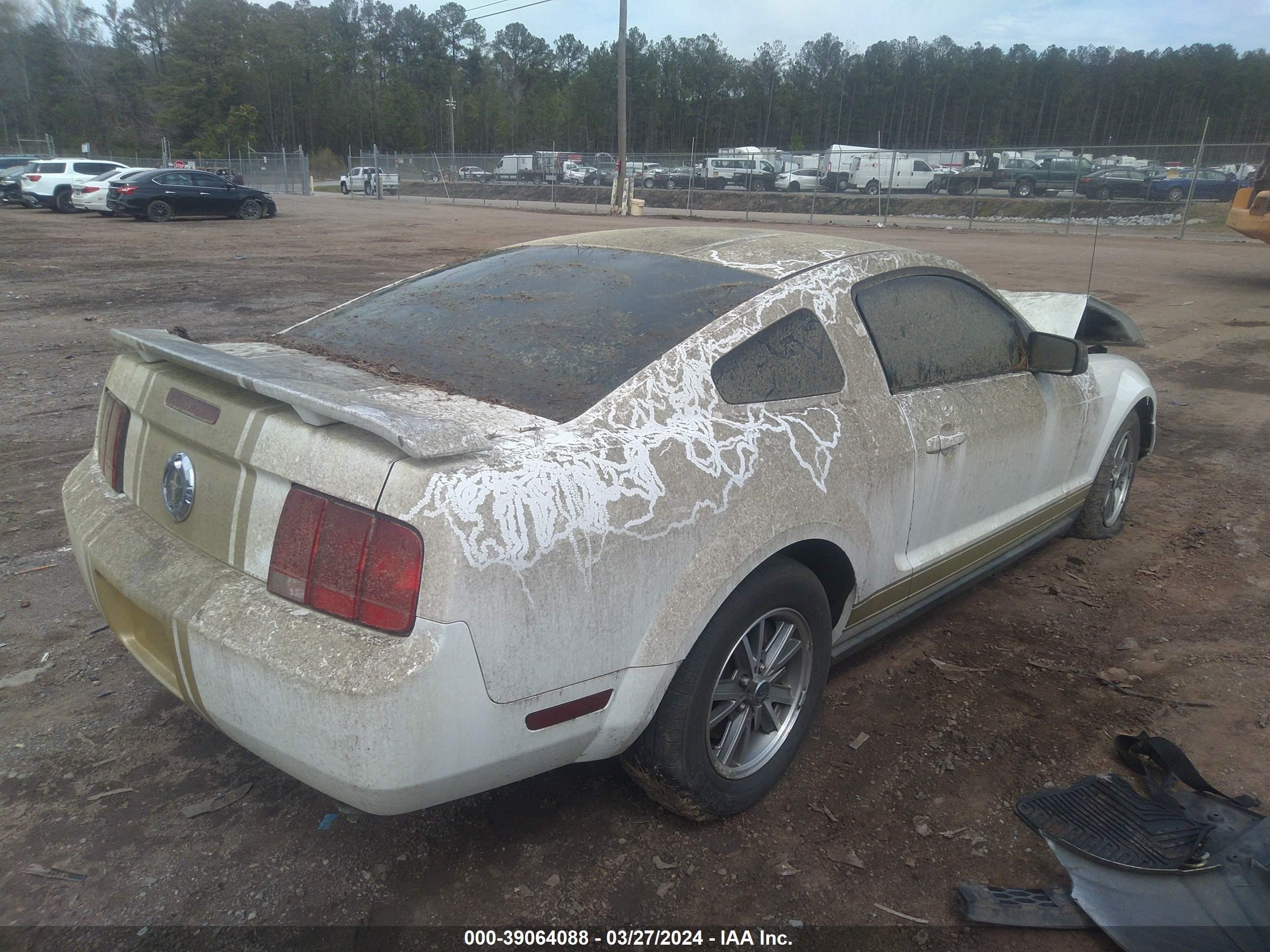 Photo 3 VIN: 1ZVFT80N055159782 - FORD MUSTANG 