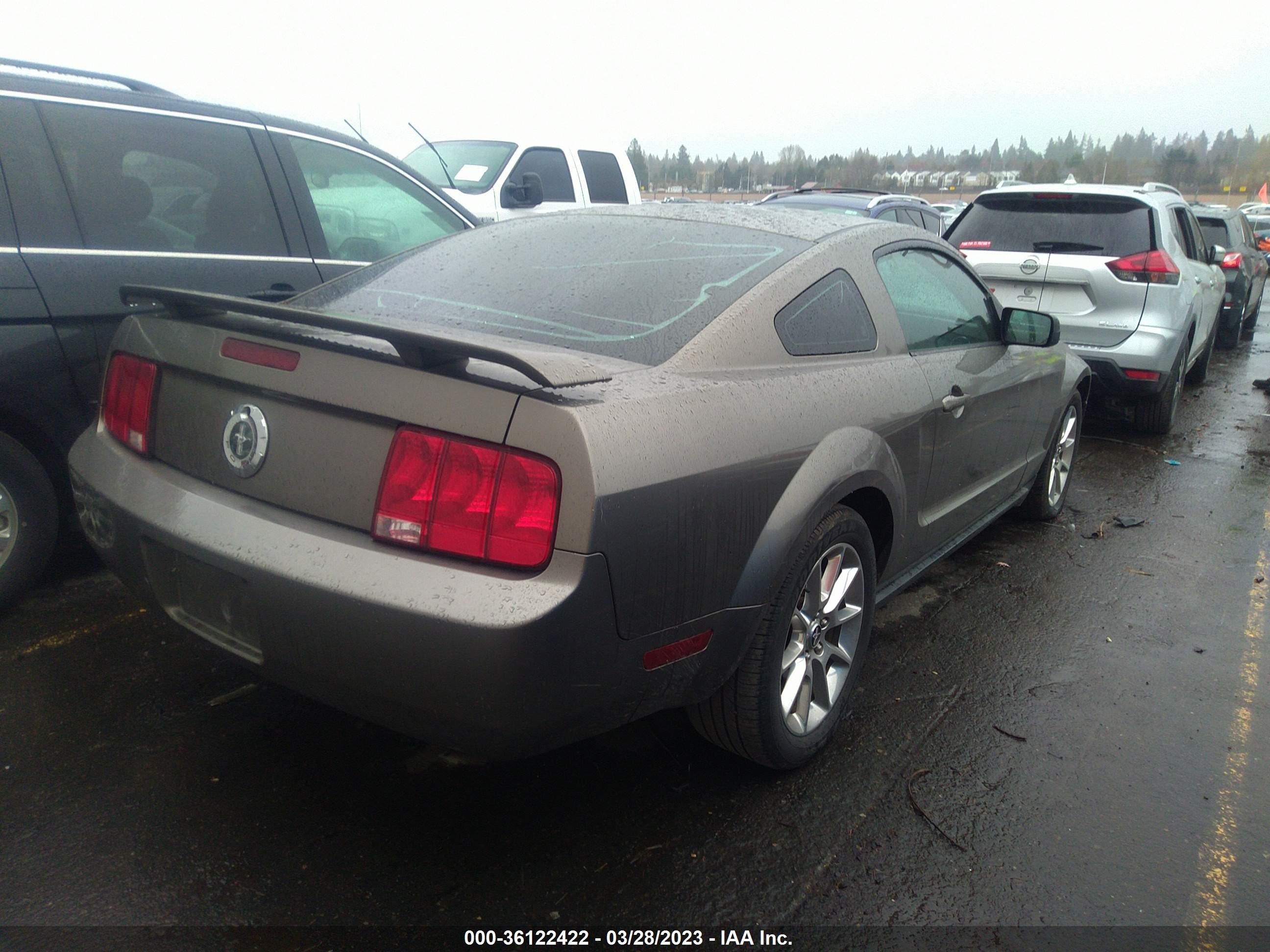 Photo 3 VIN: 1ZVFT80N055161676 - FORD MUSTANG 