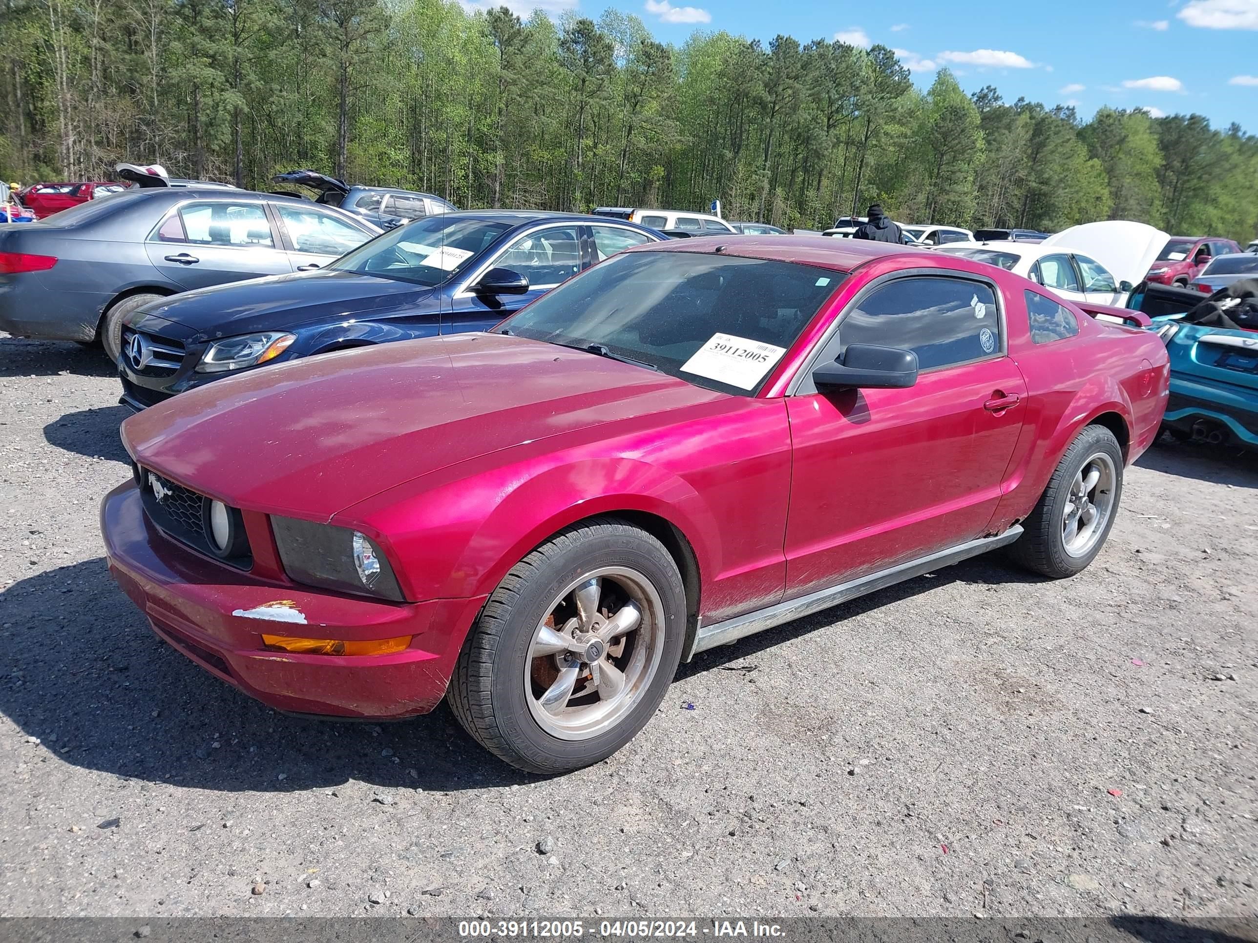 Photo 1 VIN: 1ZVFT80N055206907 - FORD MUSTANG 