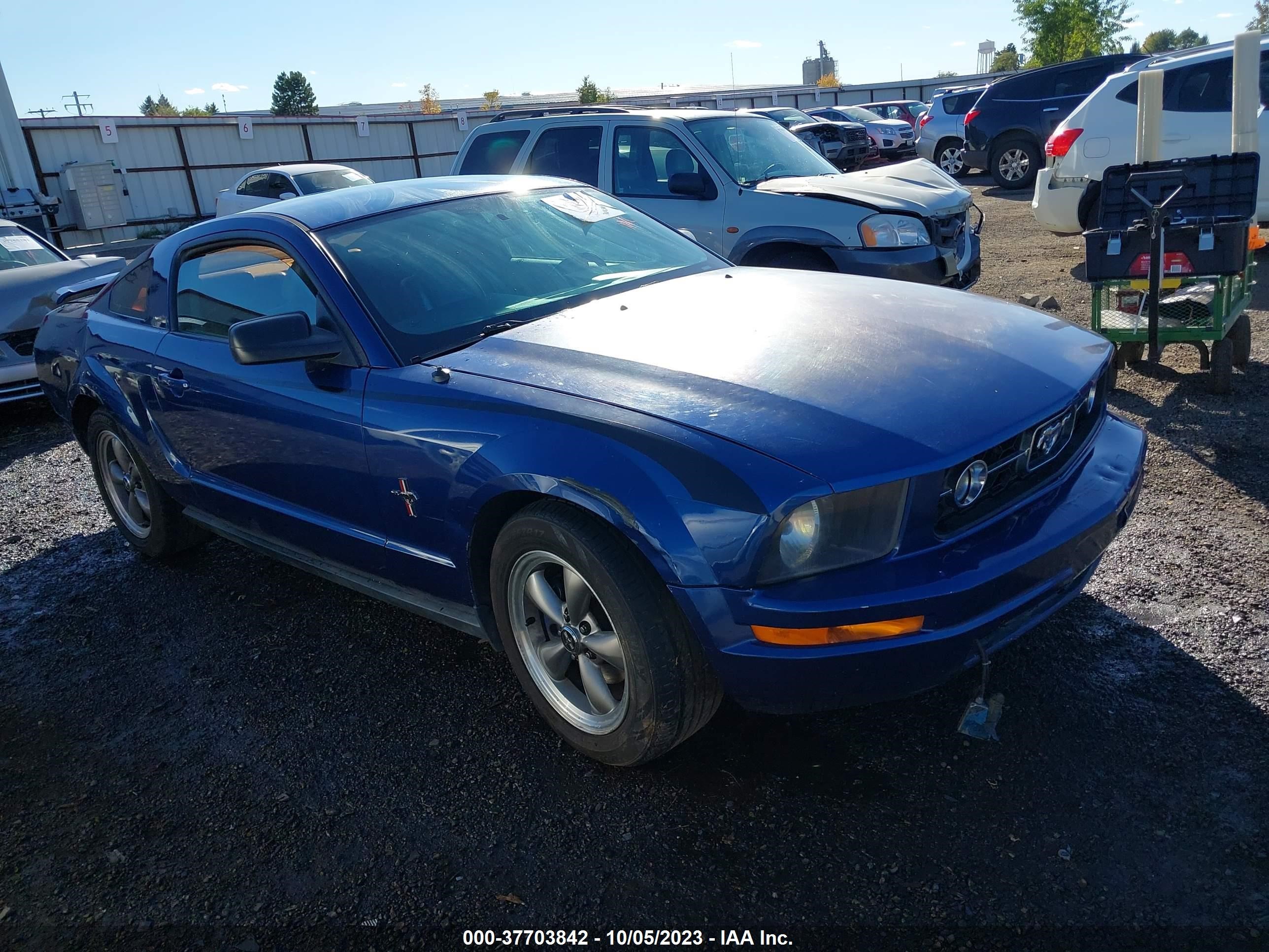 Photo 0 VIN: 1ZVFT80N065131305 - FORD MUSTANG 