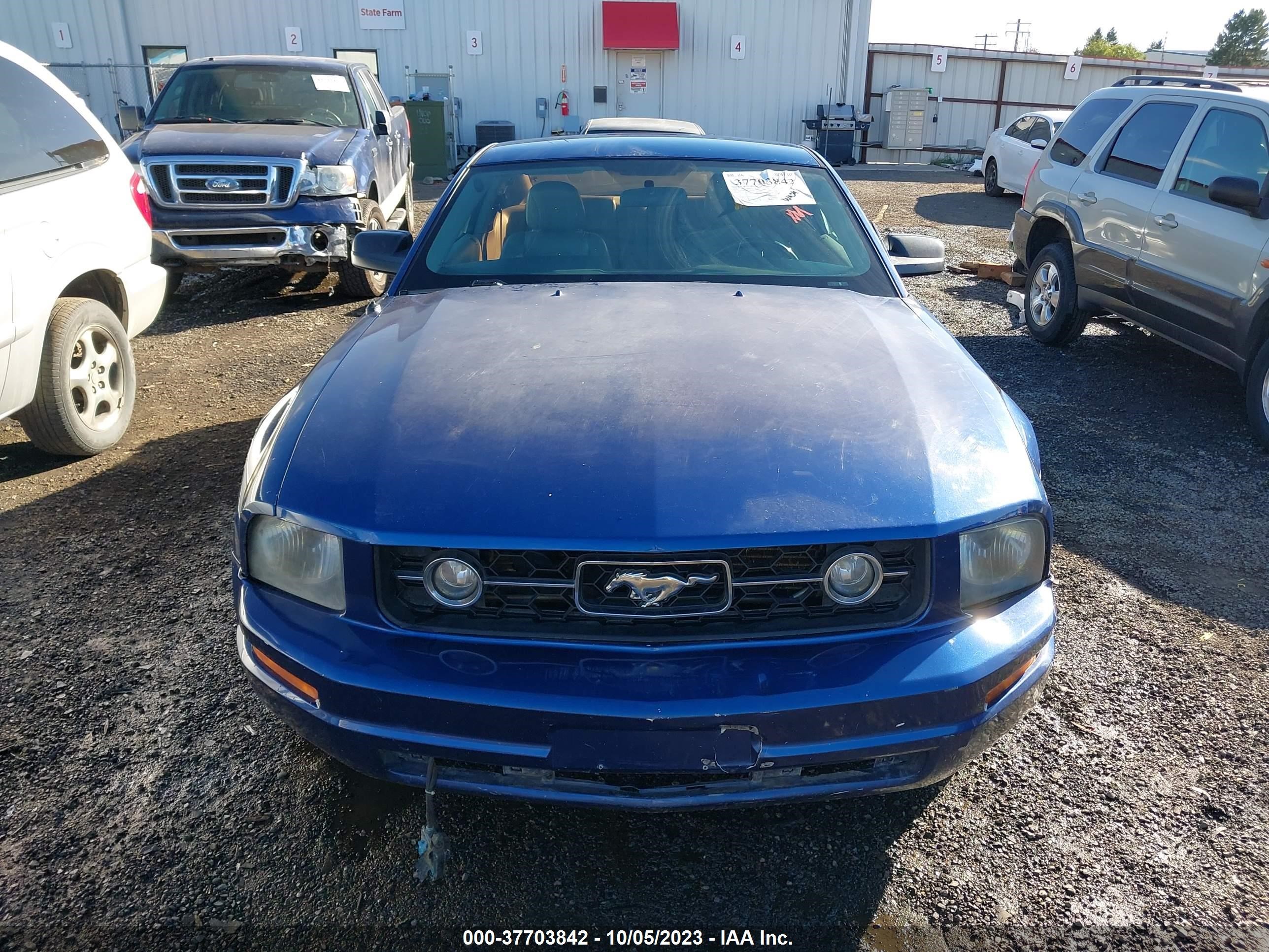 Photo 11 VIN: 1ZVFT80N065131305 - FORD MUSTANG 