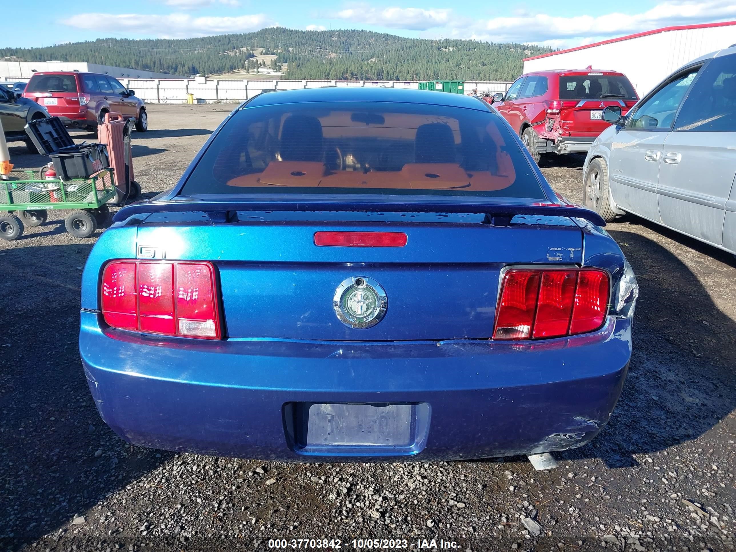 Photo 15 VIN: 1ZVFT80N065131305 - FORD MUSTANG 