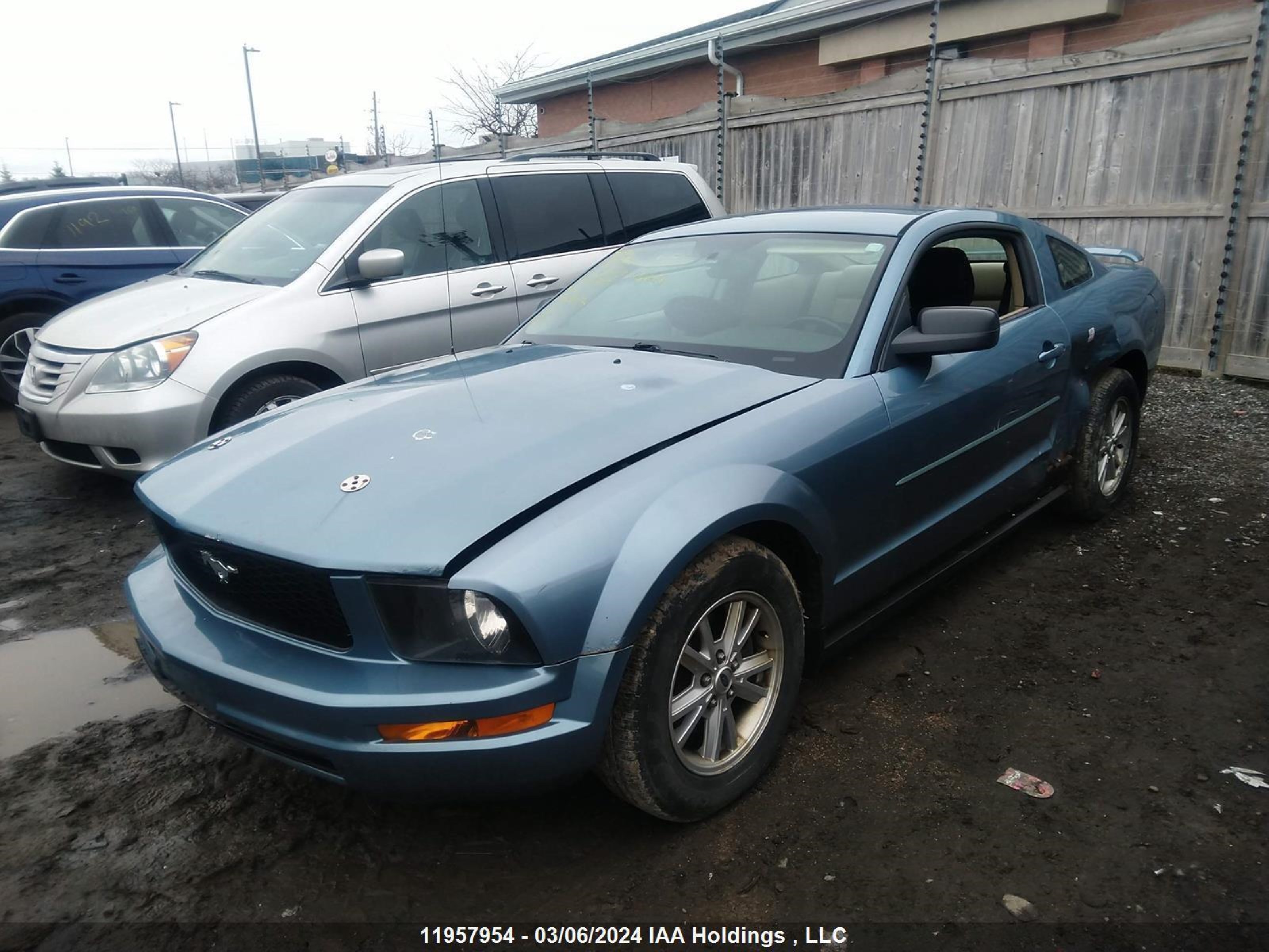 Photo 1 VIN: 1ZVFT80N065146841 - FORD MUSTANG 