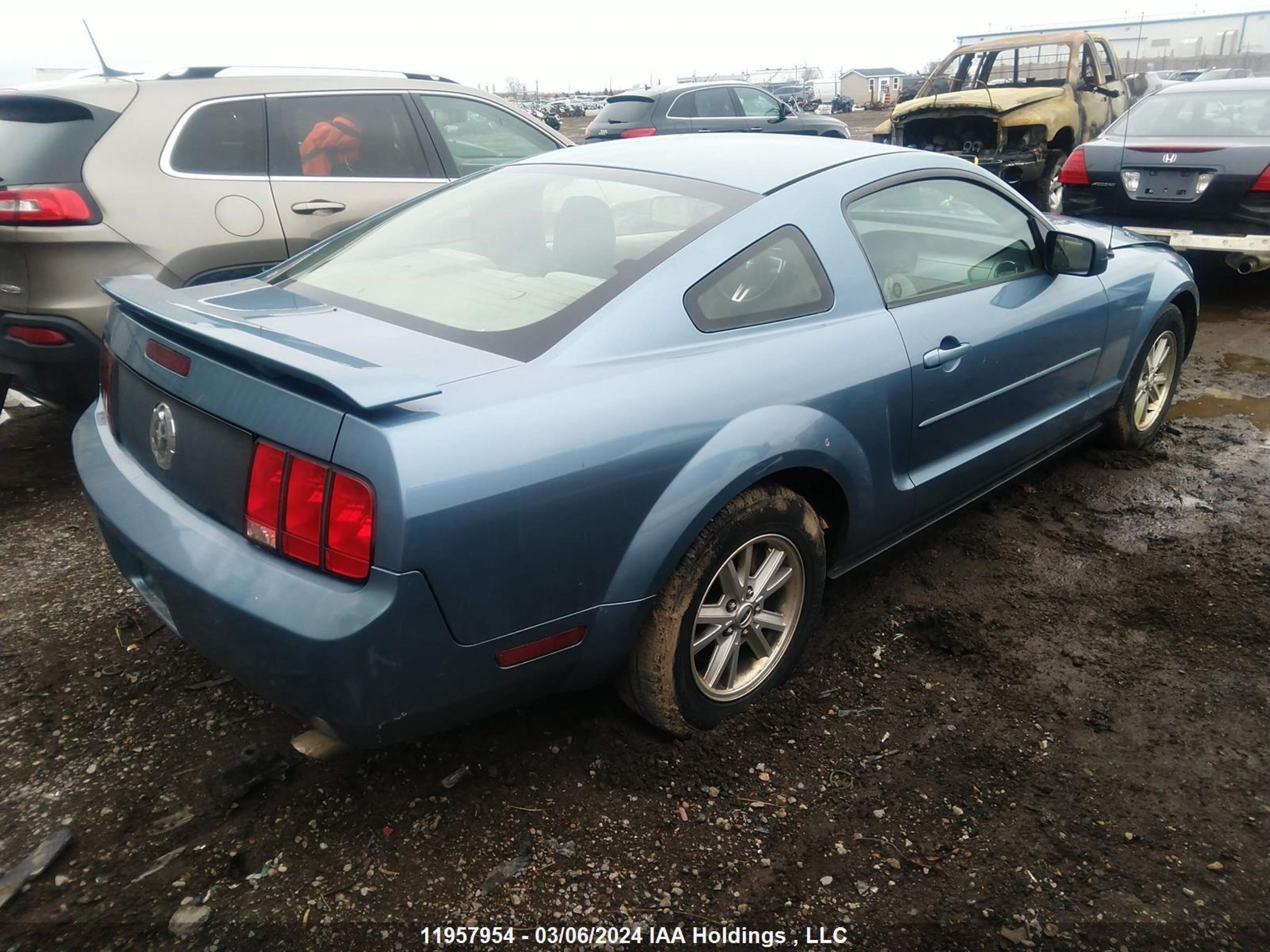 Photo 3 VIN: 1ZVFT80N065146841 - FORD MUSTANG 