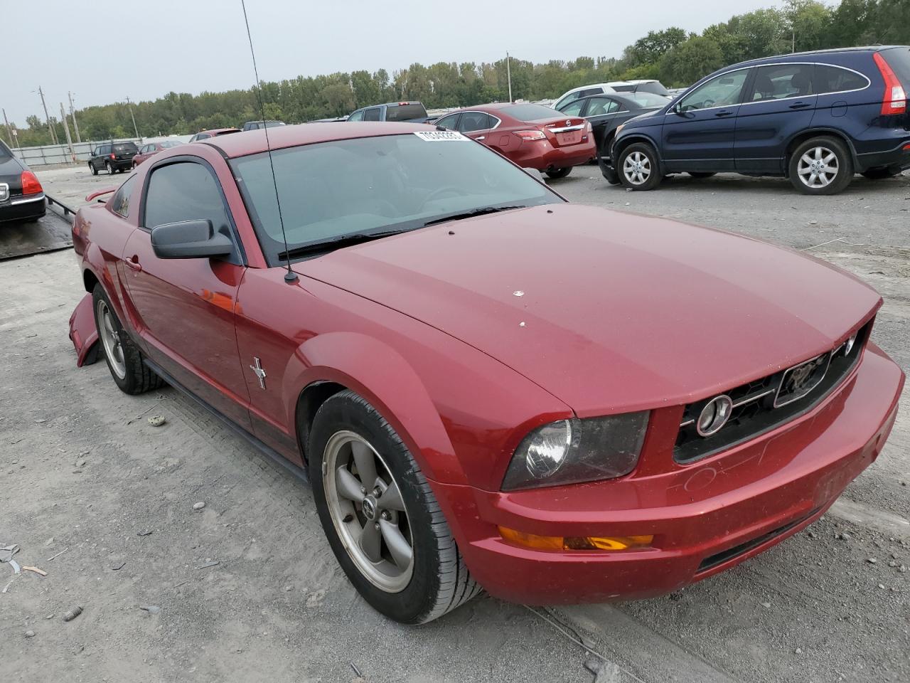 Photo 3 VIN: 1ZVFT80N065178141 - FORD MUSTANG 