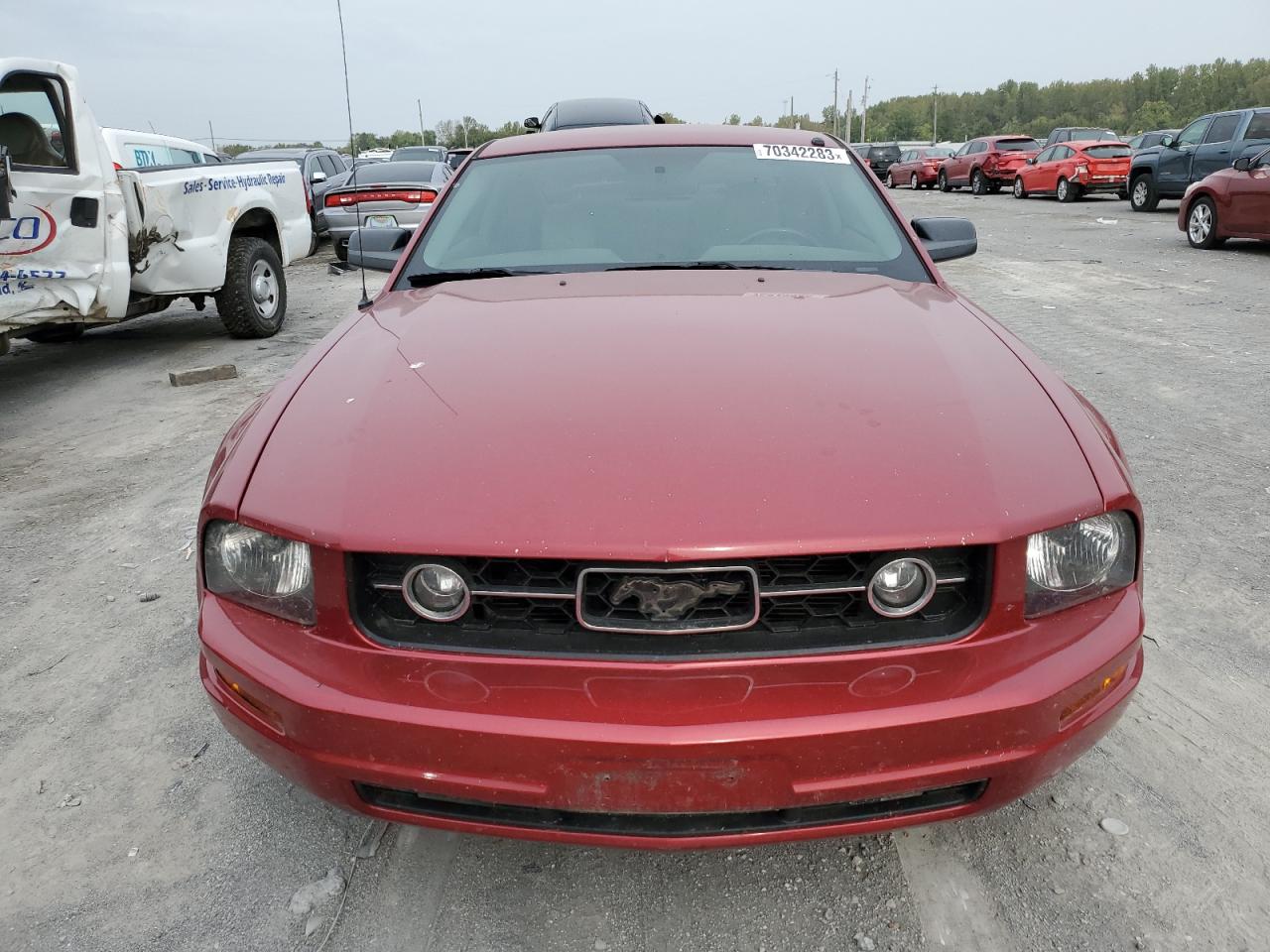 Photo 4 VIN: 1ZVFT80N065178141 - FORD MUSTANG 