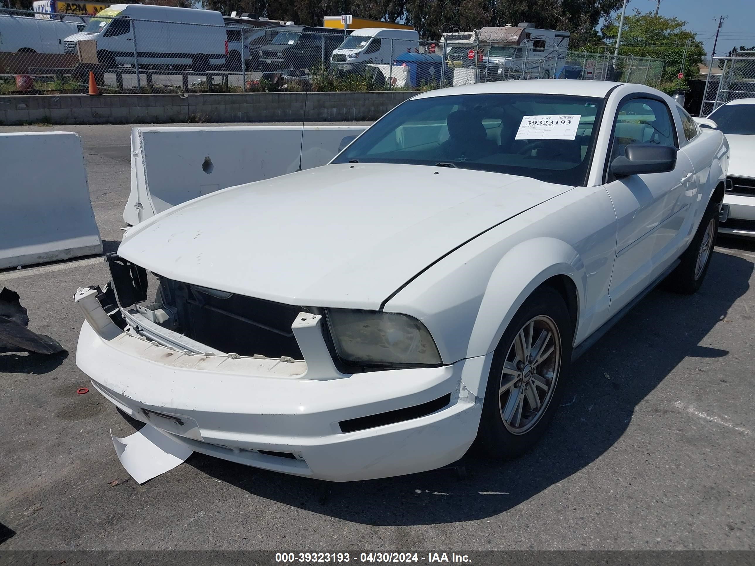 Photo 1 VIN: 1ZVFT80N065189446 - FORD MUSTANG 