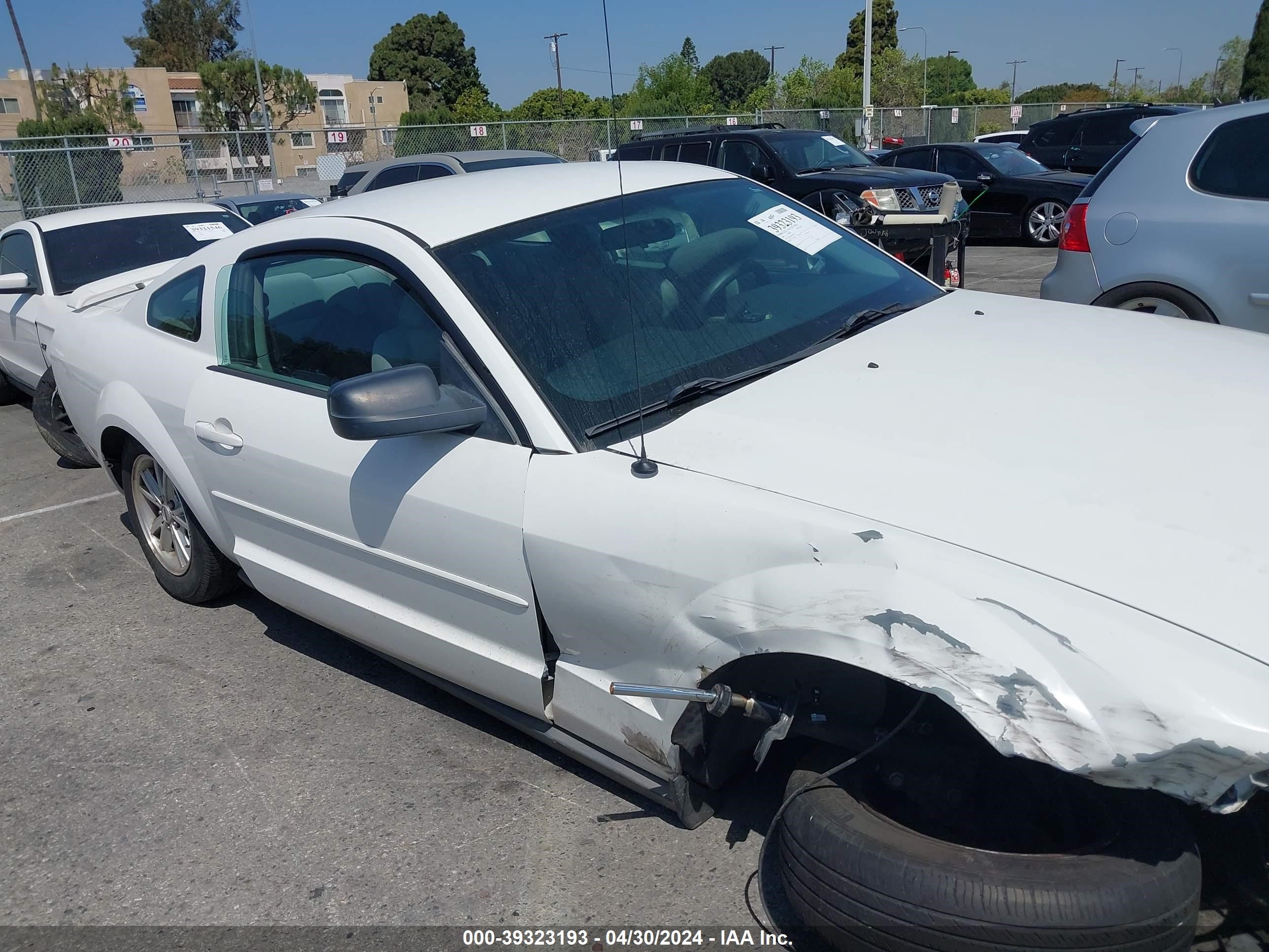 Photo 12 VIN: 1ZVFT80N065189446 - FORD MUSTANG 