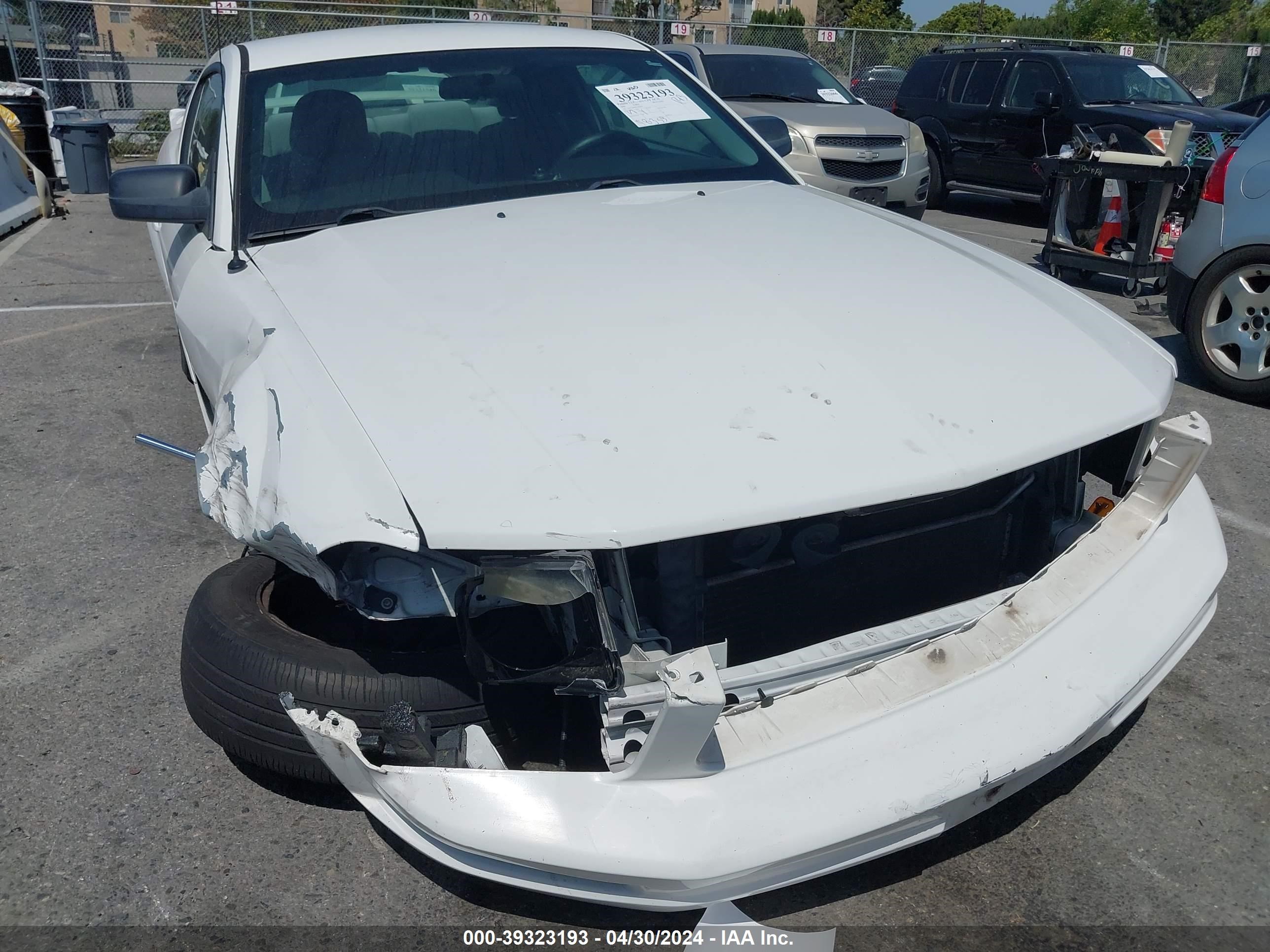 Photo 5 VIN: 1ZVFT80N065189446 - FORD MUSTANG 