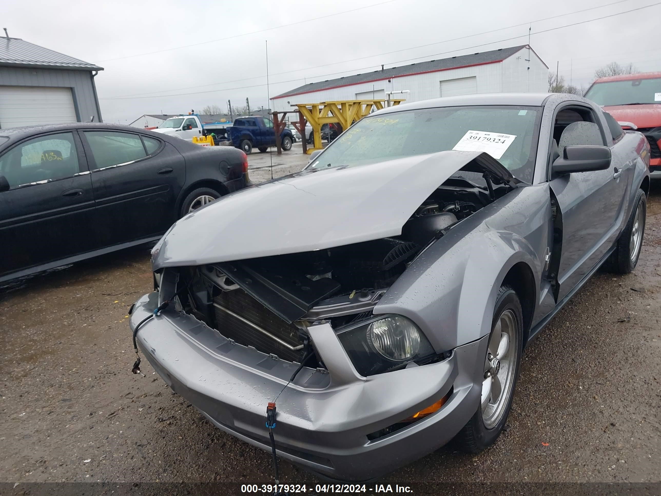 Photo 5 VIN: 1ZVFT80N065213731 - FORD MUSTANG 