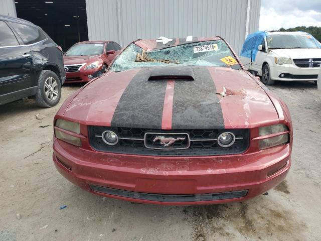 Photo 4 VIN: 1ZVFT80N065264632 - FORD MUSTANG 