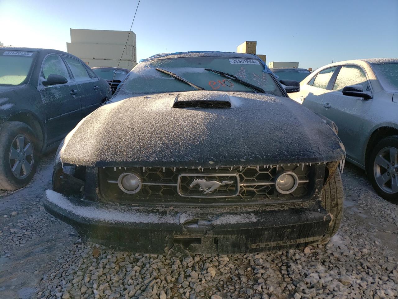 Photo 4 VIN: 1ZVFT80N075270688 - FORD MUSTANG 