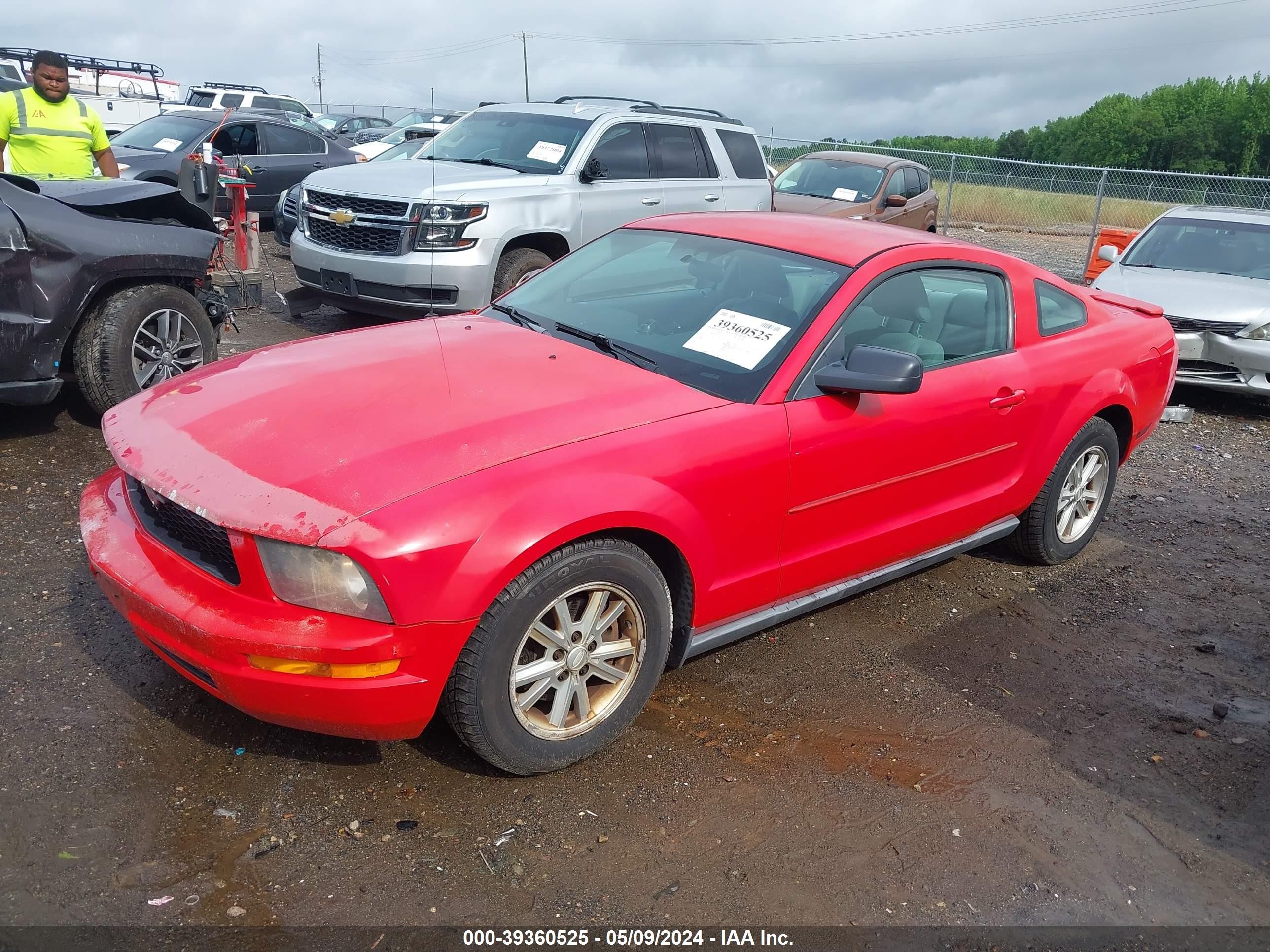 Photo 1 VIN: 1ZVFT80N075307819 - FORD MUSTANG 