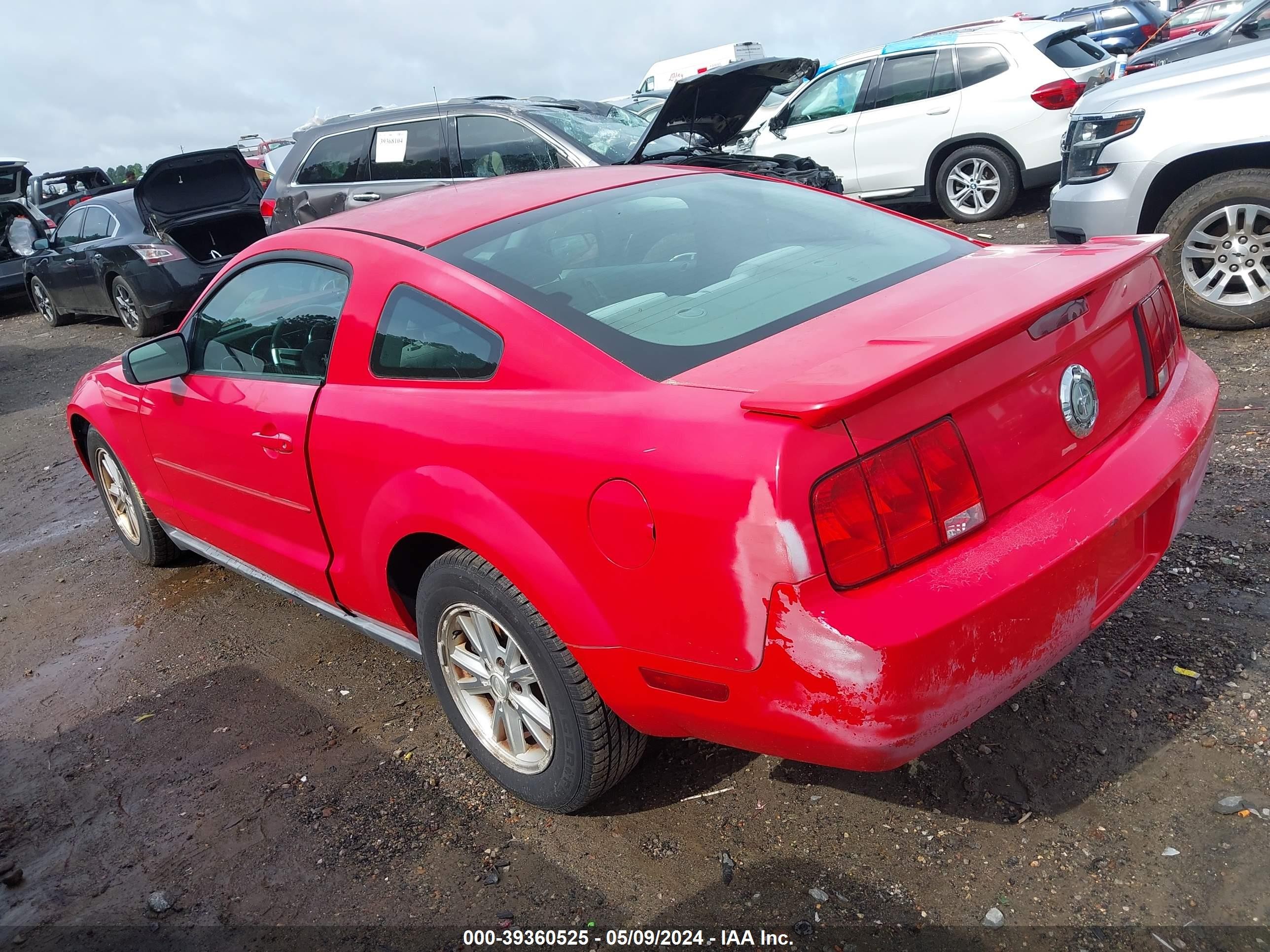 Photo 2 VIN: 1ZVFT80N075307819 - FORD MUSTANG 