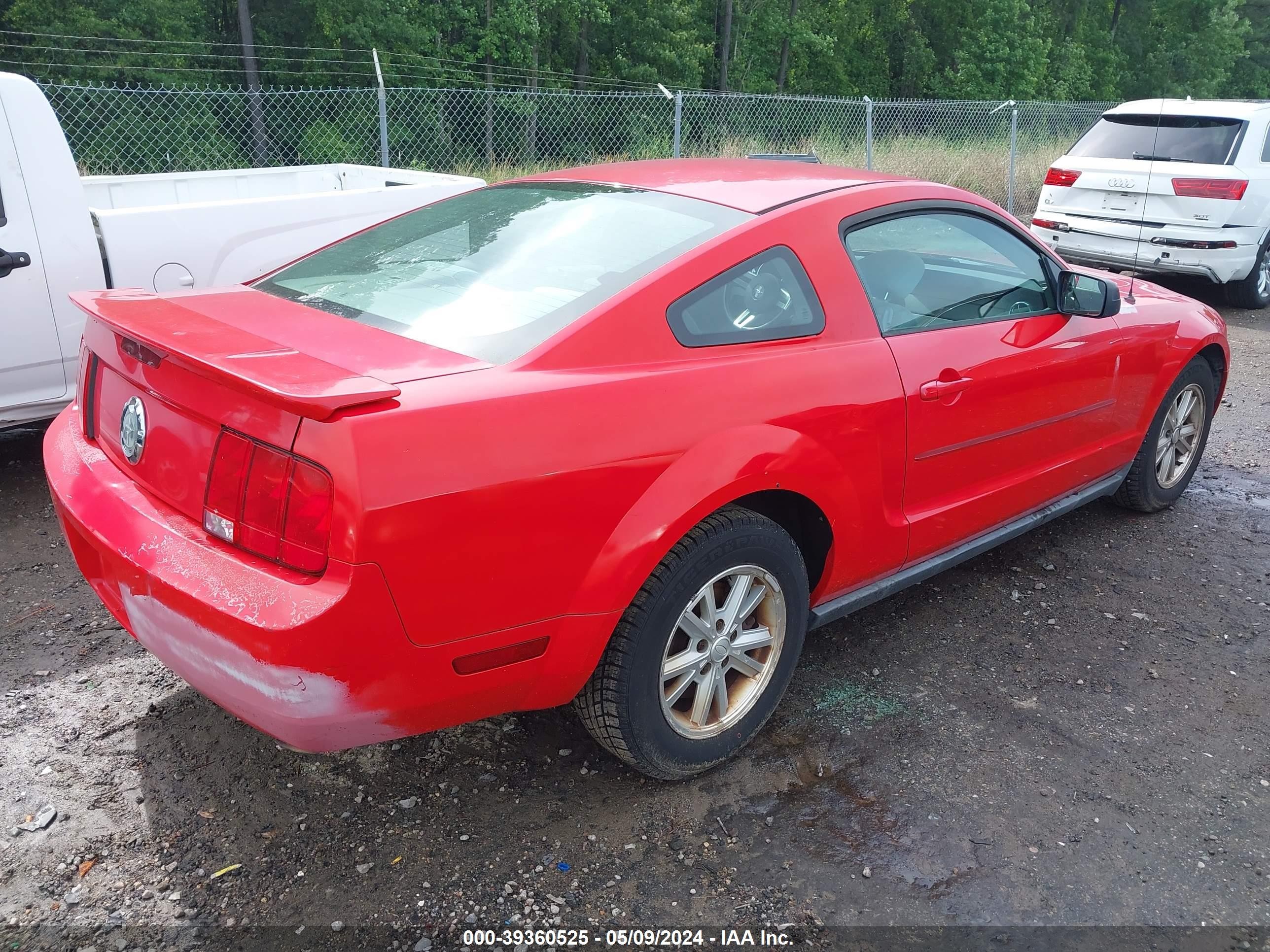 Photo 3 VIN: 1ZVFT80N075307819 - FORD MUSTANG 